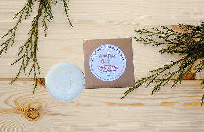 Rosemary Shampoo Bar (100g)